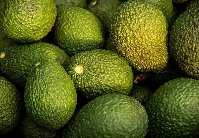 Avocado & Quinoa Salad